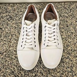 Steve Madden Mister Sneakers